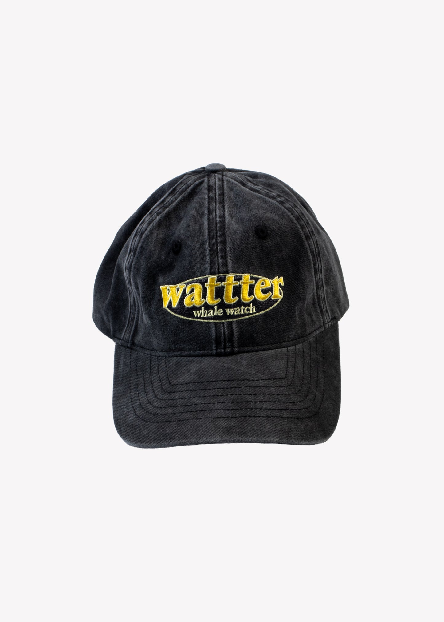 WHALE WATCH Cap